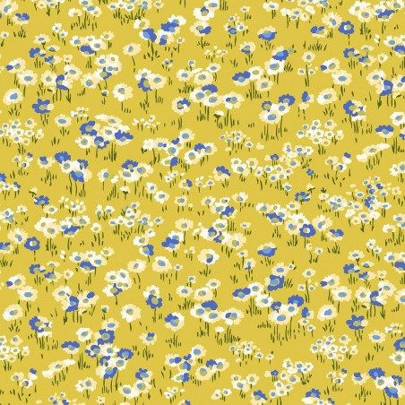 Darling Daisies (yellow)