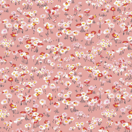Darling Daisies (pink)